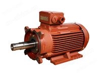 P3真空泵用三相异步电动机