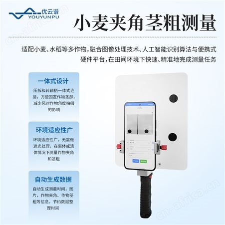 YP-XM04小麦表型分析系统 麦穗形态测量仪 小麦表型检测仪 小麦表型测量仪YP-XM04