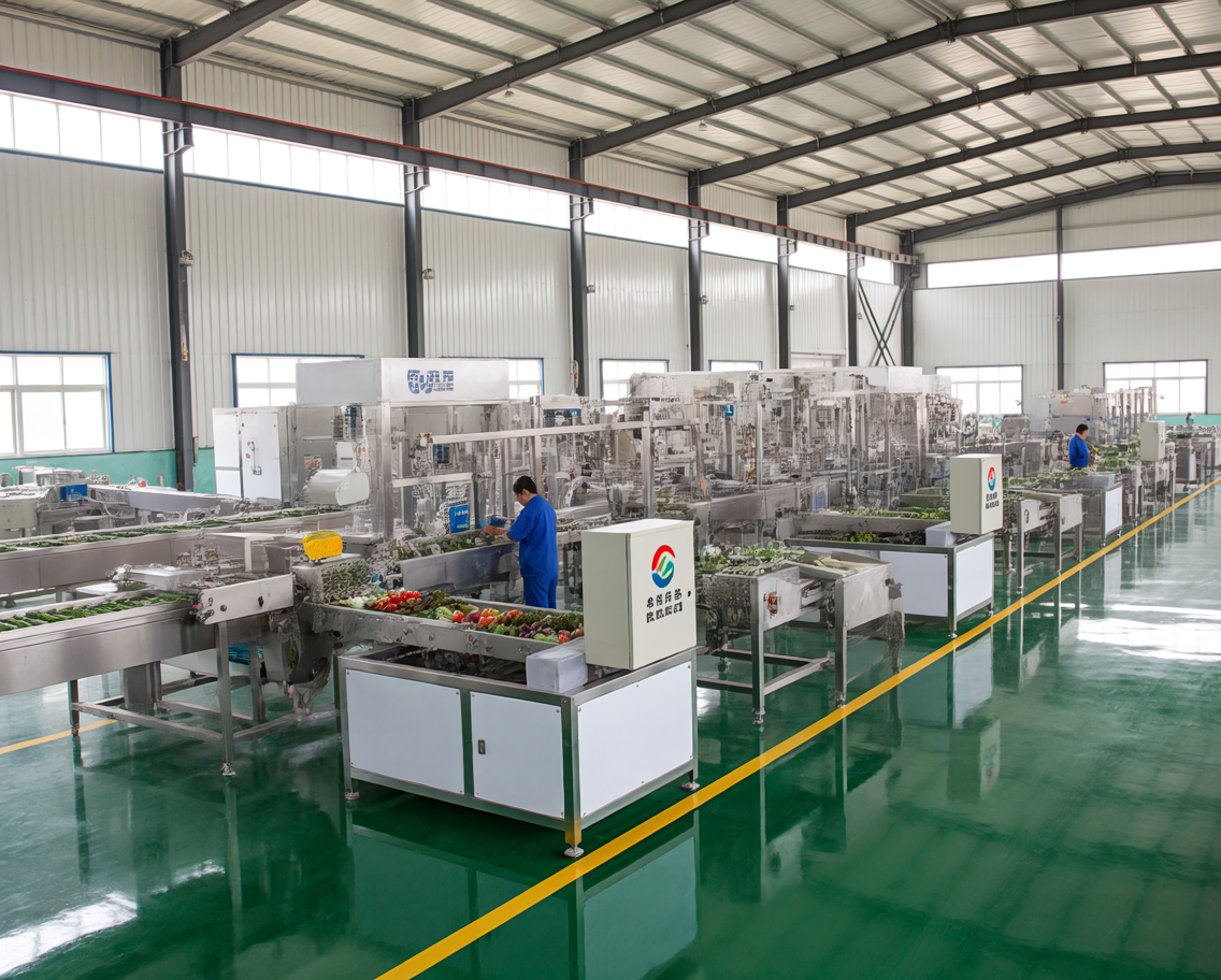 蔬菜加工产线厂家有哪些：青岛维泰科设备有限公司的专业之选