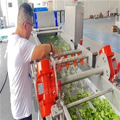净菜加工设备